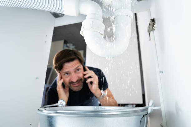 Best Residential Plumbing Services  in Harvey, MI